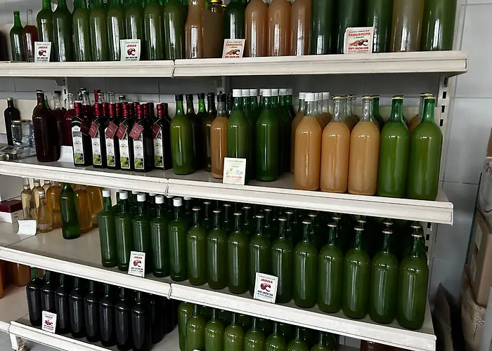 Odmoriste Vrelo Vape 谢尼察